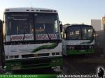 Flota Buses Hernández / Molina