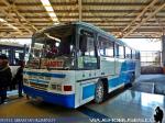 Comil Condottiere 3.20 / Mercedes Benz OF-1318 / Buses Paine