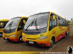 Taxibuses Mercedes Benz LO-915-916 / Cortes Flores