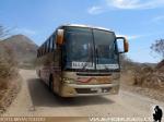 Busscar El Buss 340 / Mercedes Benz OF-1721 / Libuca