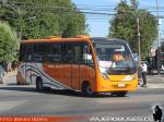 Neobus Thunder+ / Mercedes Benz LO-916 / Buses TLP