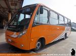 Neobus Thunder + / Mercedes Benz LO-916 / Buses TLP