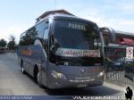 King Long XMQ6858Y / Calinpar Bus