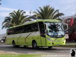 Caio Solar / Scania K310 / Melipilla - Santiago