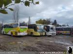 Buses Saavedra Hnos. / Chillan