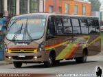 Bepo Bus / Mercedes Benz LO-916 / Full Bus