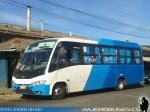 Buses Nueva Nahuelbus / VIII Región