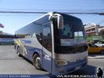 Daewoo A100 / Buses Herrera