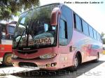 Marcopolo Viaggio 1050 / Mercedes Benz OF-1721 / Pullman Pulpica