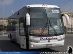 Marcopolo Andare Class 1000 / Mercedes Benz O-500R / Buses Palacios