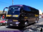 Higer 100.45 / Interbus