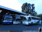 Buses Erbuc / IX Región