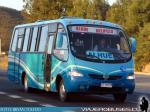 Metalpar Pucara Evolution / Mercedes Benz LO-915 / Transantin