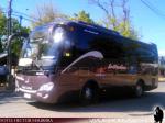 King Long XMQ6858Y / Interbus