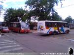 Marcopolo Senior / Mercedes Benz LO-914 / Interbus