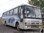 Buscar El Buss 340 / Mercedes Benz OF-1318 / Integral