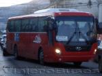 Hyundai Universe Space / Buses Suray