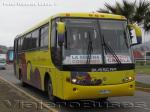 Busscar El Buss 340 / Mercedes Benz O-400RSE / Buses Canela
