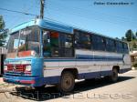 Caio Gabriela / Mercedes Benz 1113 / Rural de Carahue