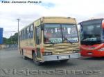 Caio Vitoria / Mercedes Benz OF-1115 / Buses Barbosa