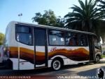 Caio Foz / Mercedes Benz LO-915 / Buses Palacios