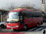 Higer / Interbus