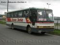 Busscar El Buss 340 / Mercedes Benz OF-1318 / Buses Bohle