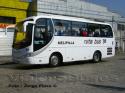 Shenzhen Wuzhoulong Bus / Cummins / Ruta  Bus 78 / RM