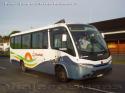 Marcopolo Senior GVO / Mercedes Benz LO915 / Buses Bohle