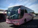 Marcopolo Viaggio 1050 / Scania F94HB / Talmocur