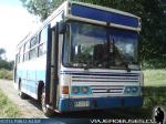 Busscar Urbanuss / Mercedes Benz OF-1115 / Rural Freire