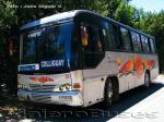 Marcopolo Allegro / Mercedes Benz OF-1115 / Buses Colliguay