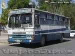 Caio Amelia / Mercedes Benz OF-1113 / Buses La Ruda