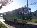 Metalpar Ami / Mercedes Benz 1113 / Buses Arriagada