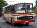 Nielson Diplomata 310 / Mercedes Benz OF-1115 / Buses Cerro Negro