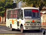 Caio Carolina / Mercedes Benz LO-814 / Rural de Talca