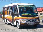 Flota de Buses Ruta 160