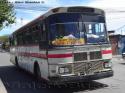 Dic Panorama / Mercedes Benz OF-1318 / Buses Retamal