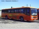 Maxibus Dolphin / Mercedes  Benz OF-1722 / Thiele