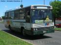 Marcopolo Torino / Mercedes Benz OF-1113 / Vogabus