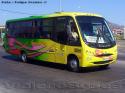 Busscar Micruss / Mercedes Benz LO-914 / Serena Mar