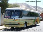 Flota de Buses Casther