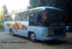 Caio Gabriela / Mercedes Benz 1113 / Buses Colliguay