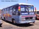 Caio Gabriela / Mercedes Benz 1113 / Buses Colliguay