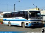 Ciferal Podium 330 / Mercedes Benz OF-1318 / Buses Herrera