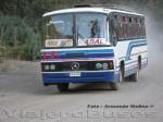 Inrecar / Mercedes Benz OF-1115 / Buses Hernández