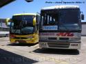 Marcopolo Andare Class 850 - Busscar El Buss 320 / Mercedes Benz OF-1721 - OF-1318 / Buses GGO