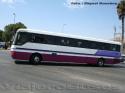 Mercedes Benz O-371RSL / Casther