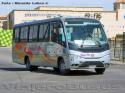 Marcopolo Senior / Mercedes Benz LO-915 / Serena Mar