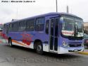 Maxibus Dolphin / Mercedes Benz OF1721 / Postal Buss